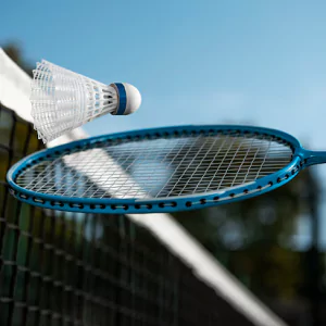 Landmark Skyvue Amenities - Badminton Court